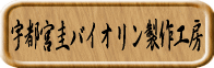 宇都宮圭バイオリン製作工房